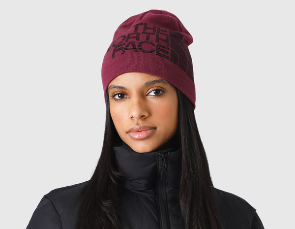 North face shop beanie reversible