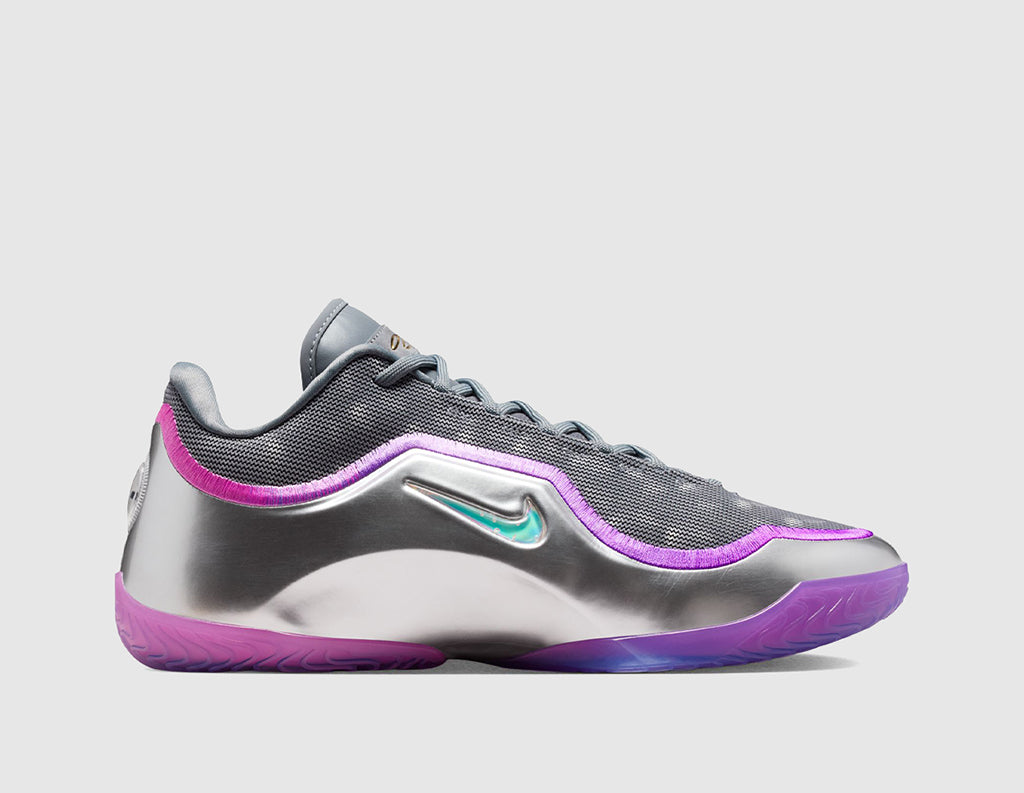 Nike Lebron XXIII Cool Grey / Multicolor - Metallic Silver