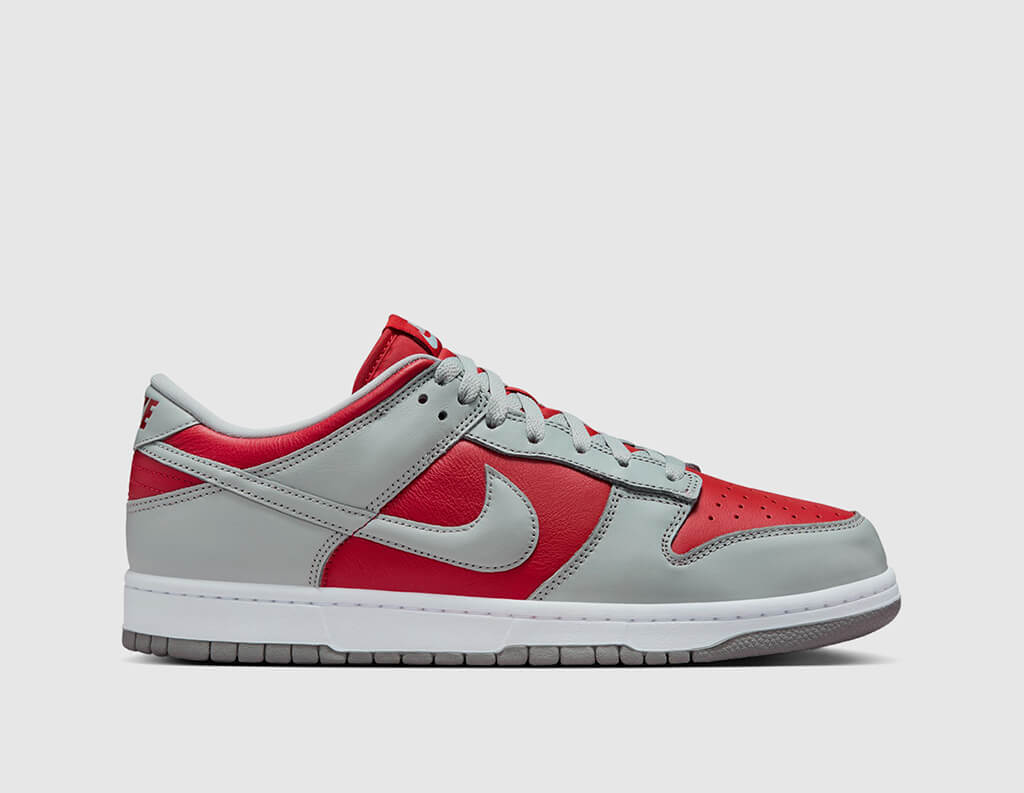 Nike Dunk Low Varsity Red / Silver - White