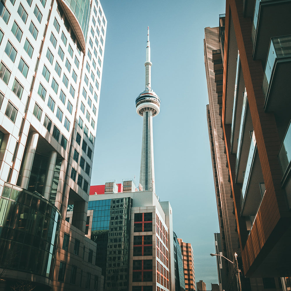 size?up: A Summer’s Day in The Six.