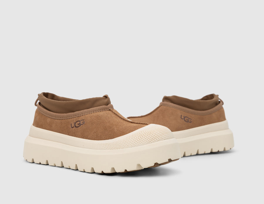 UGG Tasman Weather Hybrid Chestnut / Whitecap