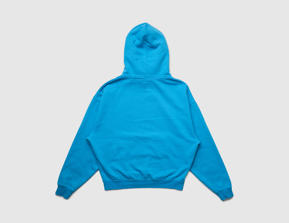Home Grown Brutal HD Hoodie. Back view of malibu blue pullover hoodie showing relaxed fit and hooded design. 