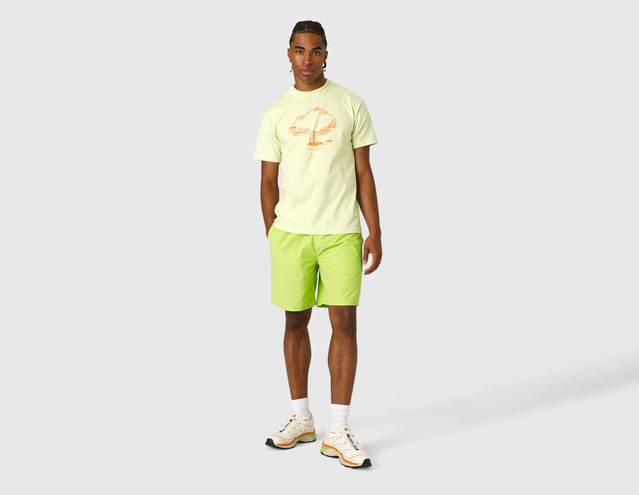 AAPE by A Bathing Ape Woven Shorts / Green