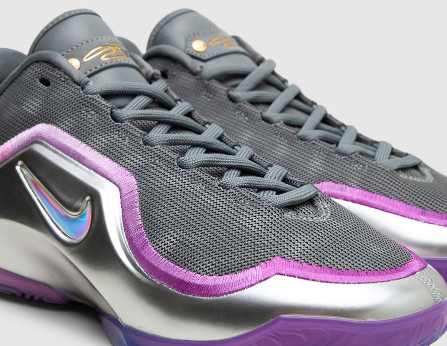 Nike Lebron XXIII Cool Grey / Multicolor - Metallic Silver