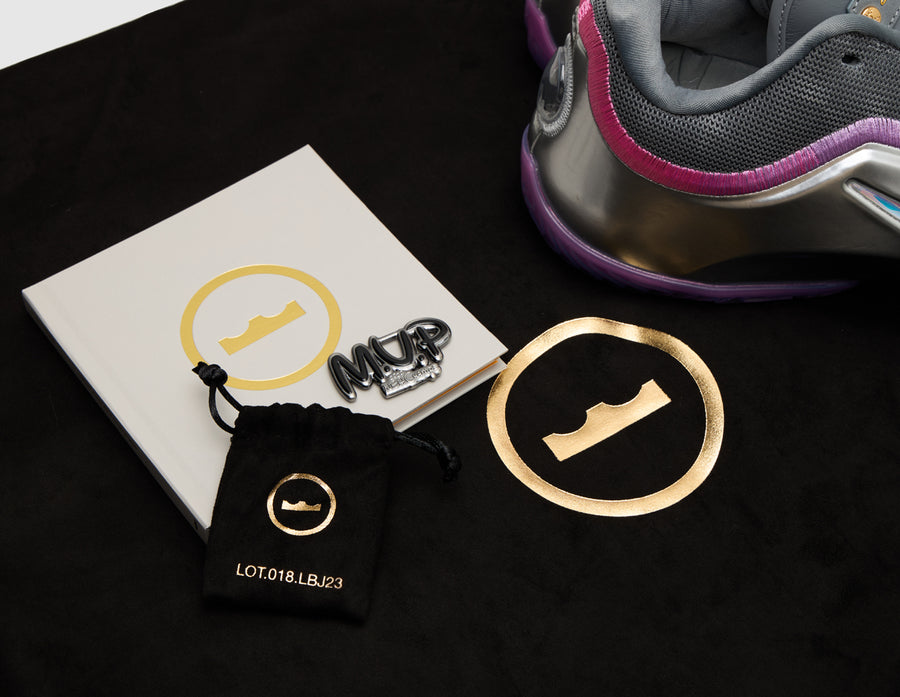 Nike Lebron XXIII Cool Grey / Multicolor - Metallic Silver