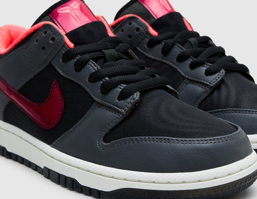 Nike Kobe Dunk Low Protro WASG Black / Multi-Color
