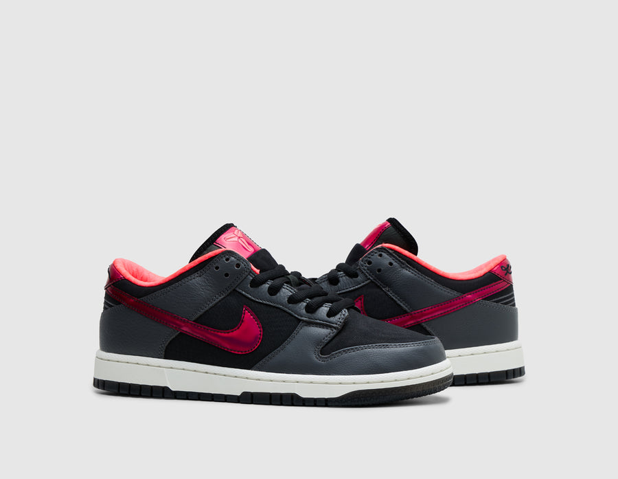 Nike Kobe Dunk Low Protro WASG Black / Multi-Color