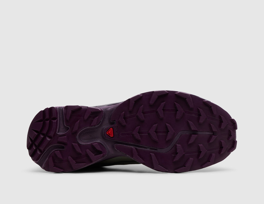 Salomon XT-6 Paloma / Winter Bloom
