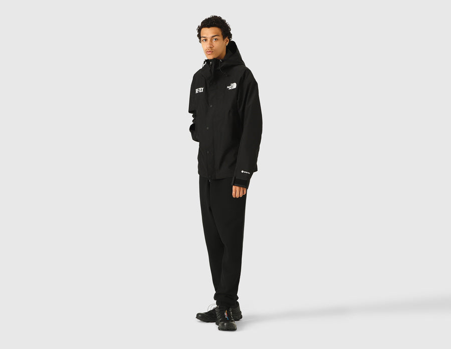 The North Face GORE-TEX Mountain Jacket / TNF Black