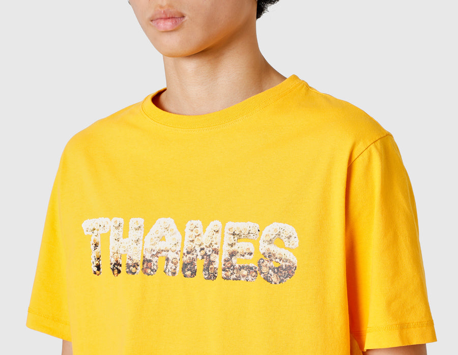 THAMES Reborn T-shirt / Jaffa